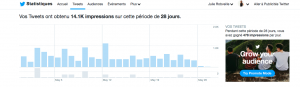 Vous pouvez suivre le taux d'impression grâce à Twitter Analytics