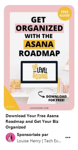 Exemple de contenu sponsorisé sur Pinterest